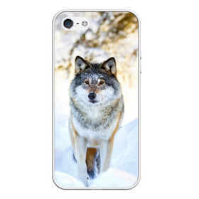 Чехол для iPhone 5/5S матовый с принтом Я зимой в Новосибирске, Силикон | Область печати: задняя сторона чехла, без боковых панелей | animals | wolf | волк | волки | животные | звери | зверь | луна | одиночество | одиночка | пёс | собака