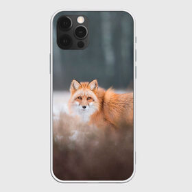 Чехол для iPhone 12 Pro Max с принтом Лиса в Новосибирске, Силикон |  | fox | foxy | животное | звери | лиса | лисенок | лисичка | милая | рыжая | фокс