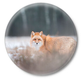 Значок с принтом Лиса в Новосибирске,  металл | круглая форма, металлическая застежка в виде булавки | fox | foxy | животное | звери | лиса | лисенок | лисичка | милая | рыжая | фокс
