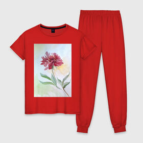 Женская пижама хлопок с принтом Пион в Новосибирске, 100% хлопок | брюки и футболка прямого кроя, без карманов, на брюках мягкая резинка на поясе и по низу штанин | tgcarpg | акварель | живопись | искусство | красный | пион | цветок