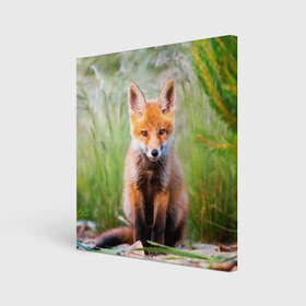 Холст квадратный с принтом Лисичка в Новосибирске, 100% ПВХ |  | fox | foxy | животное | звери | лиса | лисенок | лисичка | милая | рыжая | фокс