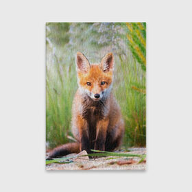 Обложка для паспорта матовая кожа с принтом Лисичка в Новосибирске, натуральная матовая кожа | размер 19,3 х 13,7 см; прозрачные пластиковые крепления | fox | foxy | животное | звери | лиса | лисенок | лисичка | милая | рыжая | фокс