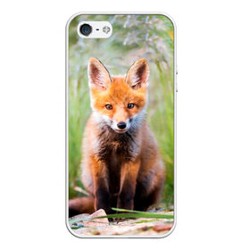 Чехол для iPhone 5/5S матовый с принтом Лисичка в Новосибирске, Силикон | Область печати: задняя сторона чехла, без боковых панелей | Тематика изображения на принте: fox | foxy | животное | звери | лиса | лисенок | лисичка | милая | рыжая | фокс