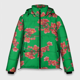 Мужская зимняя куртка 3D с принтом Цветы айвы на зеленом фоне в Новосибирске, верх — 100% полиэстер; подкладка — 100% полиэстер; утеплитель — 100% полиэстер | длина ниже бедра, свободный силуэт Оверсайз. Есть воротник-стойка, отстегивающийся капюшон и ветрозащитная планка. 

Боковые карманы с листочкой на кнопках и внутренний карман на молнии. | Тематика изображения на принте: 8 марта | flowers | summer | айва | ботаническая иллюстрация | весна | ветки | зеленый | коричневый | красный | лето | любовь | праздник | принт | природа | растения | цветы
