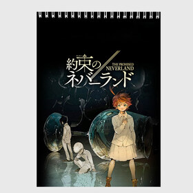 Скетчбук с принтом Обещанный Неверленд в Новосибирске, 100% бумага
 | 48 листов, плотность листов — 100 г/м2, плотность картонной обложки — 250 г/м2. Листы скреплены сверху удобной пружинной спиралью | anime | the promised neverland | аниме | манга | норман | обещанная страна грёз | обещанный неверленд | рэй | эмма
