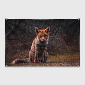 Флаг-баннер с принтом Хищная лисица в Новосибирске, 100% полиэстер | размер 67 х 109 см, плотность ткани — 95 г/м2; по краям флага есть четыре люверса для крепления | fox | foxy | животное | звери | лиса | лисенок | лисичка | милая | рыжая | фокс