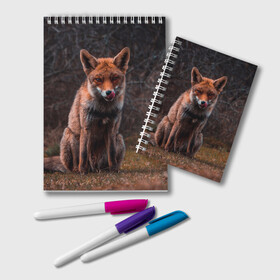 Блокнот с принтом Хищная лисица в Новосибирске, 100% бумага | 48 листов, плотность листов — 60 г/м2, плотность картонной обложки — 250 г/м2. Листы скреплены удобной пружинной спиралью. Цвет линий — светло-серый
 | Тематика изображения на принте: fox | foxy | животное | звери | лиса | лисенок | лисичка | милая | рыжая | фокс