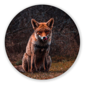 Коврик для мышки круглый с принтом Хищная лисица в Новосибирске, резина и полиэстер | круглая форма, изображение наносится на всю лицевую часть | Тематика изображения на принте: fox | foxy | животное | звери | лиса | лисенок | лисичка | милая | рыжая | фокс