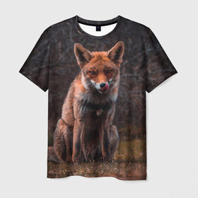 Мужская футболка 3D с принтом Хищная лисица в Новосибирске, 100% полиэфир | прямой крой, круглый вырез горловины, длина до линии бедер | fox | foxy | животное | звери | лиса | лисенок | лисичка | милая | рыжая | фокс