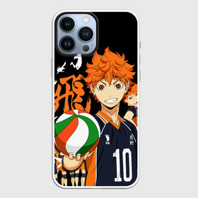 Чехол для iPhone 13 Pro Max с принтом Команда Сёё Хинаты и он сам в Новосибирске,  |  | anime | haikyu | haikyuu | karasuno | аниме | волейбол | ворон | карасуно | манга | мяч | сёё хината