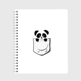 Тетрадь с принтом Панда В Кармане в Новосибирске, 100% бумага | 48 листов, плотность листов — 60 г/м2, плотность картонной обложки — 250 г/м2. Листы скреплены сбоку удобной пружинной спиралью. Уголки страниц и обложки скругленные. Цвет линий — светло-серый
 | Тематика изображения на принте: animals | beats | head | panda | pocket | в кармане | голова | животные | звери | лапки | любовь | панда