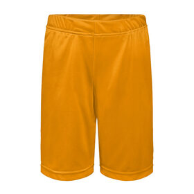 Детские спортивные шорты 3D с принтом Цвет Шафран (без рисунка) в Новосибирске,  100% полиэстер
 | пояс оформлен широкой мягкой резинкой, ткань тянется
 | без рисунка | горчичный | желто оранжевый тон | желтый | модные цвета 2020 | оранжевый | рыжий | сочный цвет | цвет 2020 | шафран | яркие цвета