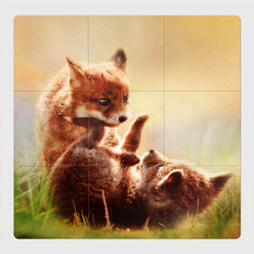Магнитный плакат 3Х3 с принтом Лисята играют в Новосибирске, Полимерный материал с магнитным слоем | 9 деталей размером 9*9 см | fox | foxy | животное | звери | лиса | лисенок | лисичка | милая | рыжая | фокс