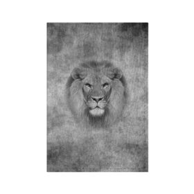 Обложка для паспорта матовая кожа с принтом Лев в Новосибирске, натуральная матовая кожа | размер 19,3 х 13,7 см; прозрачные пластиковые крепления | big cat | lion | зверь | кошка | лев | львенок | львица | хищник | царь зверей