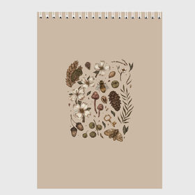Скетчбук с принтом Ботаника Goblincore в Новосибирске, 100% бумага
 | 48 листов, плотность листов — 100 г/м2, плотность картонной обложки — 250 г/м2. Листы скреплены сверху удобной пружинной спиралью | goblincore | абстракция | алхимик | аниме | арт | ботаника | мумми троли | пейзаж | природа | растения | руны | эзотерика | эстетика