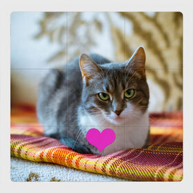 Магнитный плакат 3Х3 с принтом действительно любит меня в Новосибирске, Полимерный материал с магнитным слоем | 9 деталей размером 9*9 см | взгляд | кот | кошатникам | любит меня | люблю его | люблю котов | одиночкам | плед | романтика | сердечко | сердце | уют
