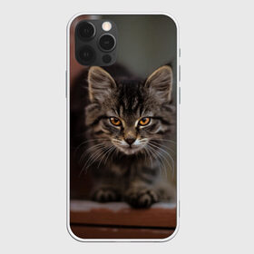 Чехол для iPhone 12 Pro Max с принтом мой внутренний зверь в Новосибирске, Силикон |  | взгляд | внутренний | глаза | животные | зверы | зверь | кот | котейка | котик | коты | котэ | кошки | лапы | нос | образ | прыжок | смотрит в душу | усы | уши | шерсть