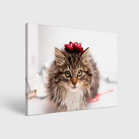 Холст прямоугольный с принтом я лучший подарочек в Новосибирске, 100% ПВХ |  | Тематика изображения на принте: бантик | взгляд | глаза | животные | звери | зверь | киса | кисонька | кот | котейка | котик | коты | котэ | кошки | лапы | нос | подарок | подарочек | сюрприз | усы | уши | шерсть