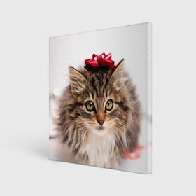Холст квадратный с принтом я лучший подарочек в Новосибирске, 100% ПВХ |  | бантик | взгляд | глаза | животные | звери | зверь | киса | кисонька | кот | котейка | котик | коты | котэ | кошки | лапы | нос | подарок | подарочек | сюрприз | усы | уши | шерсть