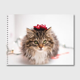 Альбом для рисования с принтом я лучший подарочек в Новосибирске, 100% бумага
 | матовая бумага, плотность 200 мг. | бантик | взгляд | глаза | животные | звери | зверь | киса | кисонька | кот | котейка | котик | коты | котэ | кошки | лапы | нос | подарок | подарочек | сюрприз | усы | уши | шерсть