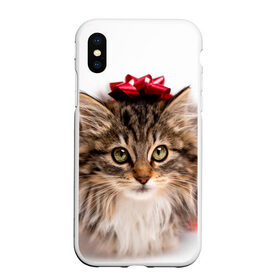 Чехол для iPhone XS Max матовый с принтом я лучший подарочек в Новосибирске, Силикон | Область печати: задняя сторона чехла, без боковых панелей | бантик | взгляд | глаза | животные | звери | зверь | киса | кисонька | кот | котейка | котик | коты | котэ | кошки | лапы | нос | подарок | подарочек | сюрприз | усы | уши | шерсть