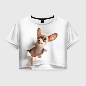 Женская футболка Crop-top 3D с принтом Чихуахуа из бумаги вылазит в Новосибирске, 100% полиэстер | круглая горловина, длина футболки до линии талии, рукава с отворотами | гав | любитель собак | меленьктй пес | мини пес | песель | песик | собака | собачка | собачник | собачница | чихуахуа | чихуашка | щенек