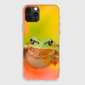 Чехол для iPhone 12 Pro Max с принтом лягушка в цветке мило в Новосибирске, Силикон |  | жаба | жабка | земноводное | ква | квакуха | лягушенок | лягушка | макро | мило | природа | пыльца | цветок