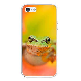Чехол для iPhone 5/5S матовый с принтом лягушка в цветке мило в Новосибирске, Силикон | Область печати: задняя сторона чехла, без боковых панелей | Тематика изображения на принте: жаба | жабка | земноводное | ква | квакуха | лягушенок | лягушка | макро | мило | природа | пыльца | цветок