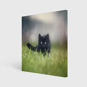 Холст квадратный с принтом черный кот на лугу в Новосибирске, 100% ПВХ |  | взгляд | внутренний | глаза | животные | звери | зверь | кот | котейка | котик | коты | котэ | кошки | лапы | нос | образ | прыжок | смотрит в душу | усы | уши | черный | черныш | шерсть