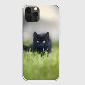 Чехол для iPhone 12 Pro Max с принтом черный кот на лугу в Новосибирске, Силикон |  | взгляд | внутренний | глаза | животные | звери | зверь | кот | котейка | котик | коты | котэ | кошки | лапы | нос | образ | прыжок | смотрит в душу | усы | уши | черный | черныш | шерсть
