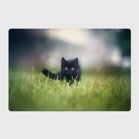 Магнитный плакат 3Х2 с принтом черный кот на лугу в Новосибирске, Полимерный материал с магнитным слоем | 6 деталей размером 9*9 см | Тематика изображения на принте: взгляд | внутренний | глаза | животные | звери | зверь | кот | котейка | котик | коты | котэ | кошки | лапы | нос | образ | прыжок | смотрит в душу | усы | уши | черный | черныш | шерсть