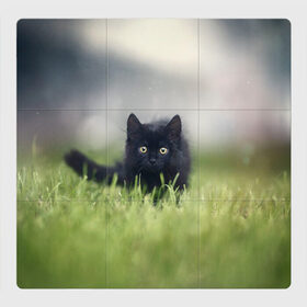 Магнитный плакат 3Х3 с принтом черный кот на лугу в Новосибирске, Полимерный материал с магнитным слоем | 9 деталей размером 9*9 см | Тематика изображения на принте: взгляд | внутренний | глаза | животные | звери | зверь | кот | котейка | котик | коты | котэ | кошки | лапы | нос | образ | прыжок | смотрит в душу | усы | уши | черный | черныш | шерсть
