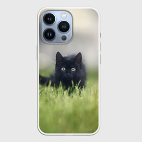 Чехол для iPhone 13 Pro с принтом черный кот на лугу в Новосибирске,  |  | взгляд | внутренний | глаза | животные | звери | зверь | кот | котейка | котик | коты | котэ | кошки | лапы | нос | образ | прыжок | смотрит в душу | усы | уши | черный | черныш | шерсть