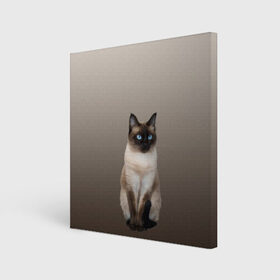Холст квадратный с принтом Сиамский кот голубые глаза в Новосибирске, 100% ПВХ |  | арт | бежевый | градиент | киса | коричневый | кот | котейка | котенок | котик | котэ | кошка | реализм | сиамец | сиамский