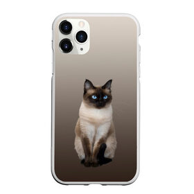 Чехол для iPhone 11 Pro матовый с принтом Сиамский кот голубые глаза в Новосибирске, Силикон |  | арт | бежевый | градиент | киса | коричневый | кот | котейка | котенок | котик | котэ | кошка | реализм | сиамец | сиамский
