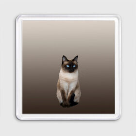 Магнит 55*55 с принтом Сиамский кот голубые глаза в Новосибирске, Пластик | Размер: 65*65 мм; Размер печати: 55*55 мм | Тематика изображения на принте: арт | бежевый | градиент | киса | коричневый | кот | котейка | котенок | котик | котэ | кошка | реализм | сиамец | сиамский