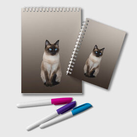 Блокнот с принтом Сиамский кот голубые глаза в Новосибирске, 100% бумага | 48 листов, плотность листов — 60 г/м2, плотность картонной обложки — 250 г/м2. Листы скреплены удобной пружинной спиралью. Цвет линий — светло-серый
 | арт | бежевый | градиент | киса | коричневый | кот | котейка | котенок | котик | котэ | кошка | реализм | сиамец | сиамский