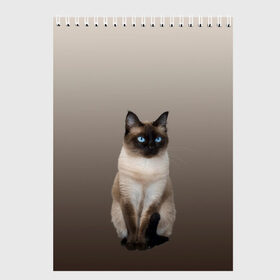 Скетчбук с принтом Сиамский кот голубые глаза в Новосибирске, 100% бумага
 | 48 листов, плотность листов — 100 г/м2, плотность картонной обложки — 250 г/м2. Листы скреплены сверху удобной пружинной спиралью | арт | бежевый | градиент | киса | коричневый | кот | котейка | котенок | котик | котэ | кошка | реализм | сиамец | сиамский