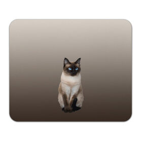 Коврик для мышки прямоугольный с принтом Сиамский кот голубые глаза в Новосибирске, натуральный каучук | размер 230 х 185 мм; запечатка лицевой стороны | арт | бежевый | градиент | киса | коричневый | кот | котейка | котенок | котик | котэ | кошка | реализм | сиамец | сиамский