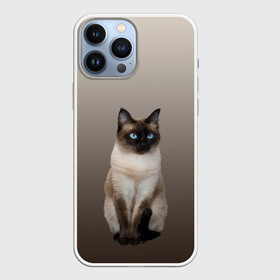 Чехол для iPhone 13 Pro Max с принтом Сиамский кот голубые глаза в Новосибирске,  |  | Тематика изображения на принте: арт | бежевый | градиент | киса | коричневый | кот | котейка | котенок | котик | котэ | кошка | реализм | сиамец | сиамский