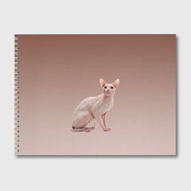 Альбом для рисования с принтом Лысый кот сфинкс в Новосибирске, 100% бумага
 | матовая бумага, плотность 200 мг. | арт | бежевый | без шерсти | градиент | домашний питомец | киса | кот | котейка | котенок | котик | котэ | кошка | лысый | реализм | складки кожи | сфинкс | экзотика