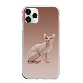 Чехол для iPhone 11 Pro матовый с принтом Лысый кот сфинкс в Новосибирске, Силикон |  | арт | бежевый | без шерсти | градиент | домашний питомец | киса | кот | котейка | котенок | котик | котэ | кошка | лысый | реализм | складки кожи | сфинкс | экзотика