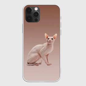 Чехол для iPhone 12 Pro Max с принтом Лысый кот сфинкс в Новосибирске, Силикон |  | арт | бежевый | без шерсти | градиент | домашний питомец | киса | кот | котейка | котенок | котик | котэ | кошка | лысый | реализм | складки кожи | сфинкс | экзотика