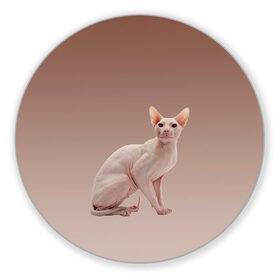 Коврик для мышки круглый с принтом Лысый кот сфинкс в Новосибирске, резина и полиэстер | круглая форма, изображение наносится на всю лицевую часть | арт | бежевый | без шерсти | градиент | домашний питомец | киса | кот | котейка | котенок | котик | котэ | кошка | лысый | реализм | складки кожи | сфинкс | экзотика