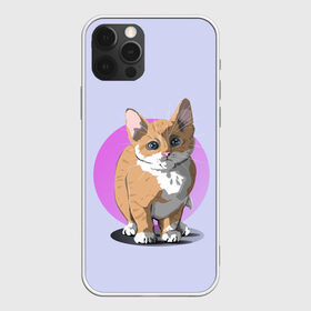 Чехол для iPhone 12 Pro Max с принтом Грустный Котик в Новосибирске, Силикон |  | графика | домашний животные | животное | котенок | котик | персонаж | природа | рисунок