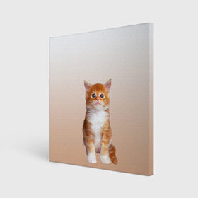Холст квадратный с принтом бело-рыжий котенок реализм в Новосибирске, 100% ПВХ |  | cat | kitten | бело рыжий | градиент | кот | котейка | котенок | котеночек | котик | котофей | котэ | кошка | малыш | милаш | мяу | нэко | реализм | рыже белый