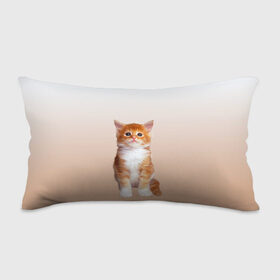 Подушка 3D антистресс с принтом бело-рыжий котенок реализм в Новосибирске, наволочка — 100% полиэстер, наполнитель — вспененный полистирол | состоит из подушки и наволочки на молнии | cat | kitten | бело рыжий | градиент | кот | котейка | котенок | котеночек | котик | котофей | котэ | кошка | малыш | милаш | мяу | нэко | реализм | рыже белый