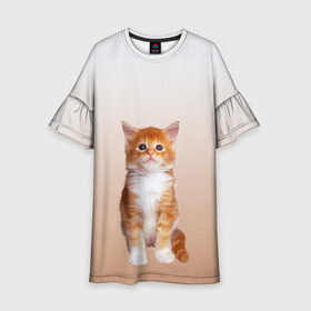 Детское платье 3D с принтом бело-рыжий котенок реализм в Новосибирске, 100% полиэстер | прямой силуэт, чуть расширенный к низу. Круглая горловина, на рукавах — воланы | Тематика изображения на принте: cat | kitten | бело рыжий | градиент | кот | котейка | котенок | котеночек | котик | котофей | котэ | кошка | малыш | милаш | мяу | нэко | реализм | рыже белый