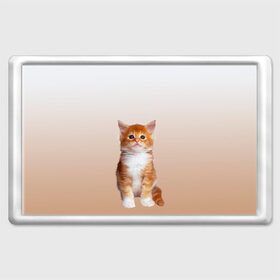 Магнит 45*70 с принтом бело-рыжий котенок реализм в Новосибирске, Пластик | Размер: 78*52 мм; Размер печати: 70*45 | cat | kitten | бело рыжий | градиент | кот | котейка | котенок | котеночек | котик | котофей | котэ | кошка | малыш | милаш | мяу | нэко | реализм | рыже белый