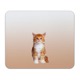 Коврик для мышки прямоугольный с принтом бело-рыжий котенок реализм в Новосибирске, натуральный каучук | размер 230 х 185 мм; запечатка лицевой стороны | Тематика изображения на принте: cat | kitten | бело рыжий | градиент | кот | котейка | котенок | котеночек | котик | котофей | котэ | кошка | малыш | милаш | мяу | нэко | реализм | рыже белый
